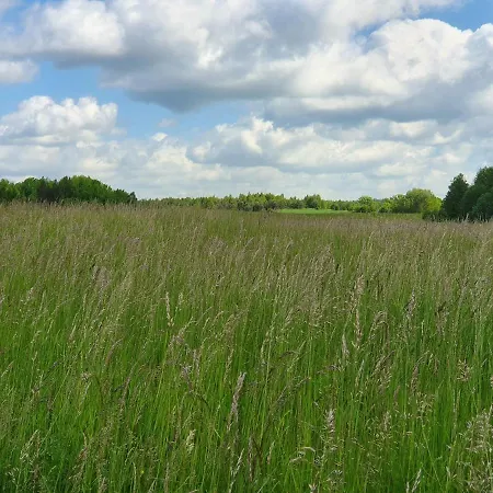 Holiday home Przyjaciol Dom Nad Jeziorem - Mazury *