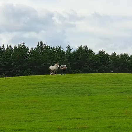 Przyjaciol Dom Nad Jeziorem - Mazury