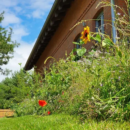 Przyjaciol Dom Nad Jeziorem - Mazury Holiday home Miluki
